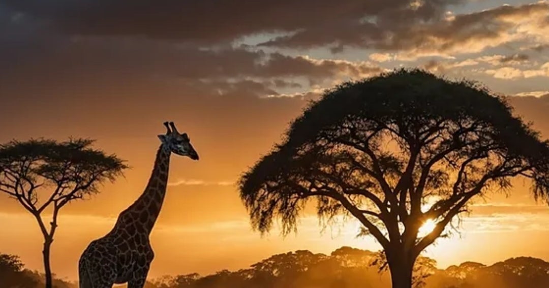 Cuatro viajes que hay que hacer al menos una vez en la vida: safaris y templos milenarios