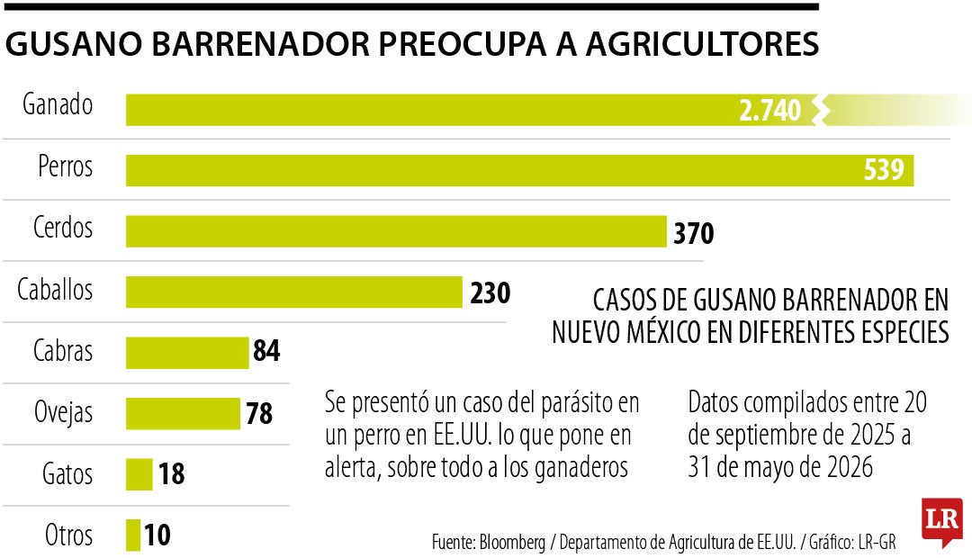 Se registran casos de mosca barrenadora en EE.UU.