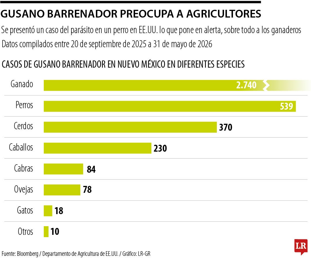 Se registran casos de mosca barrenadora en EE.UU.