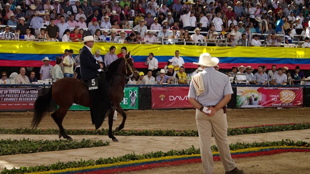 Lista la nómina de Colombia para el Mundial de Confepaso