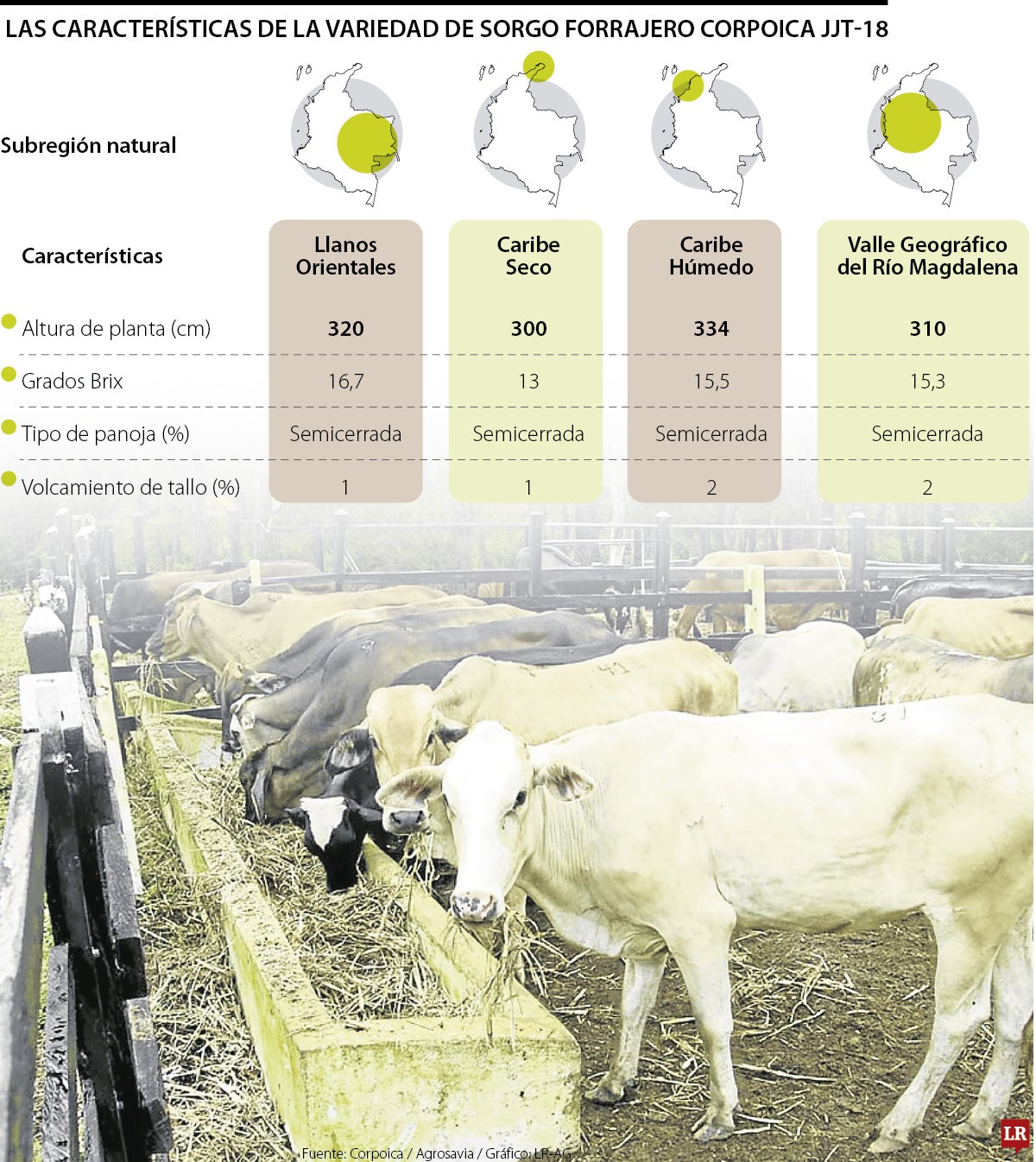 Características para aprovechar el sorgo forrajero
