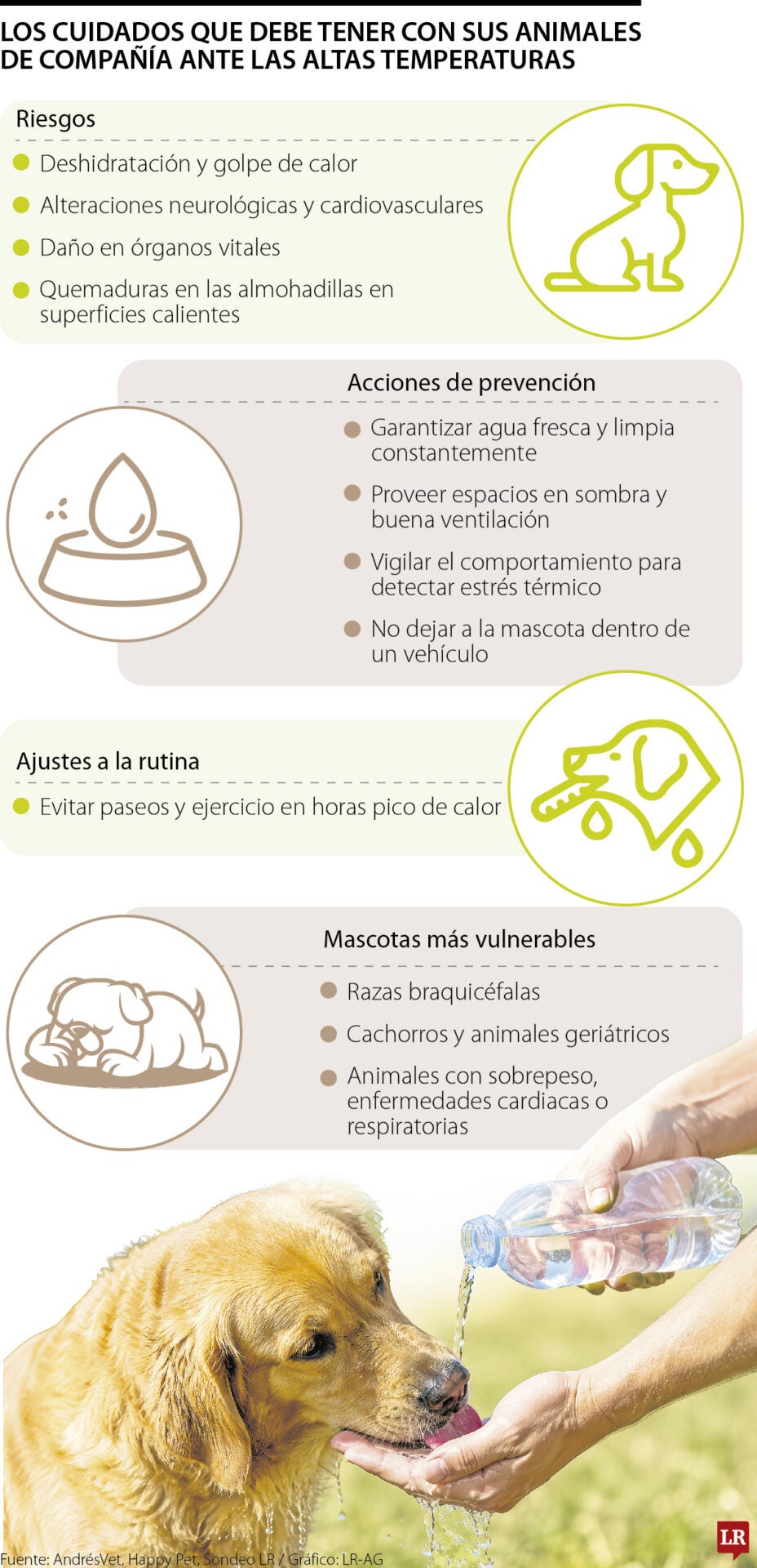 Los efectos del calor extremo en las mascotas