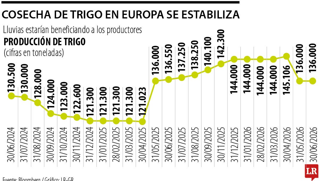 Balance de la producción de trigo europeo al cierre de mayo de 2026