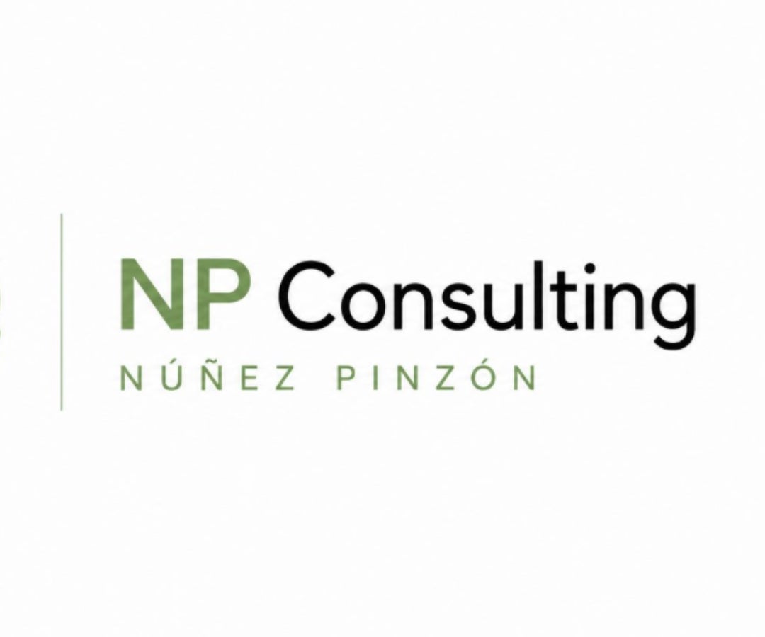 NP Consulting