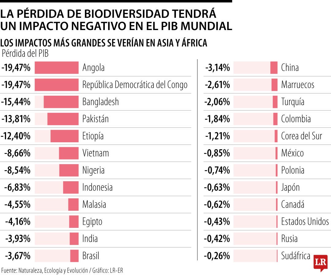 La pérdida de biodiversidad tendrá un impacto negativo en el PIB mundial