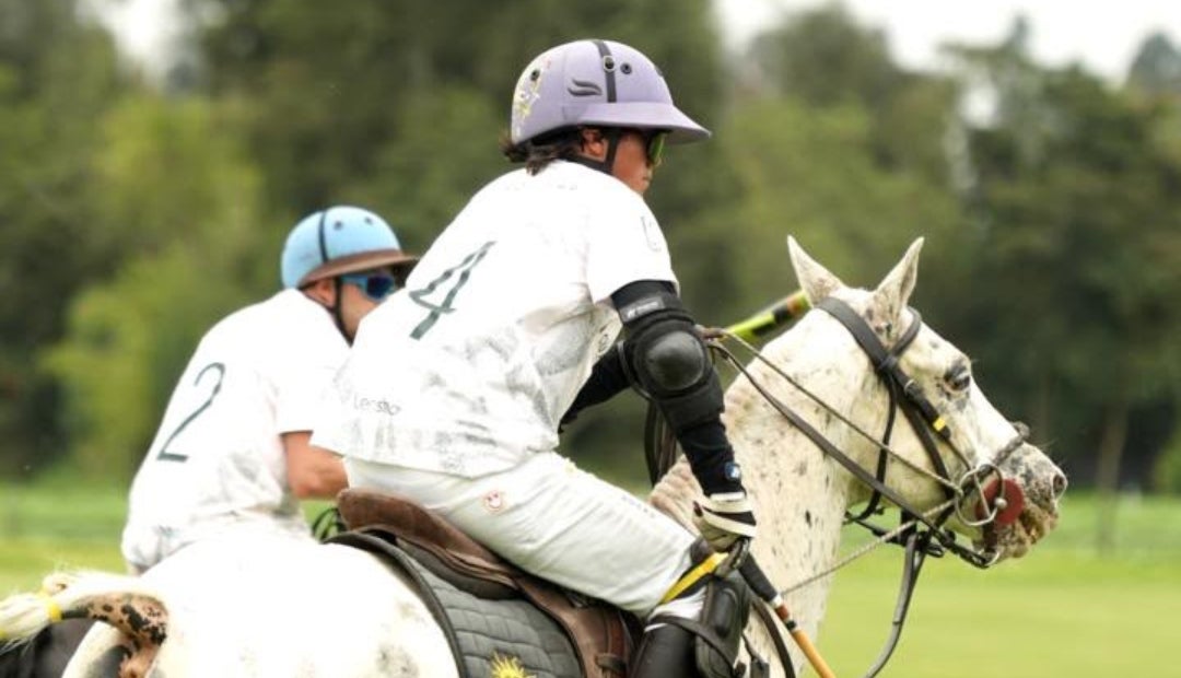 Festival Polo & Classics