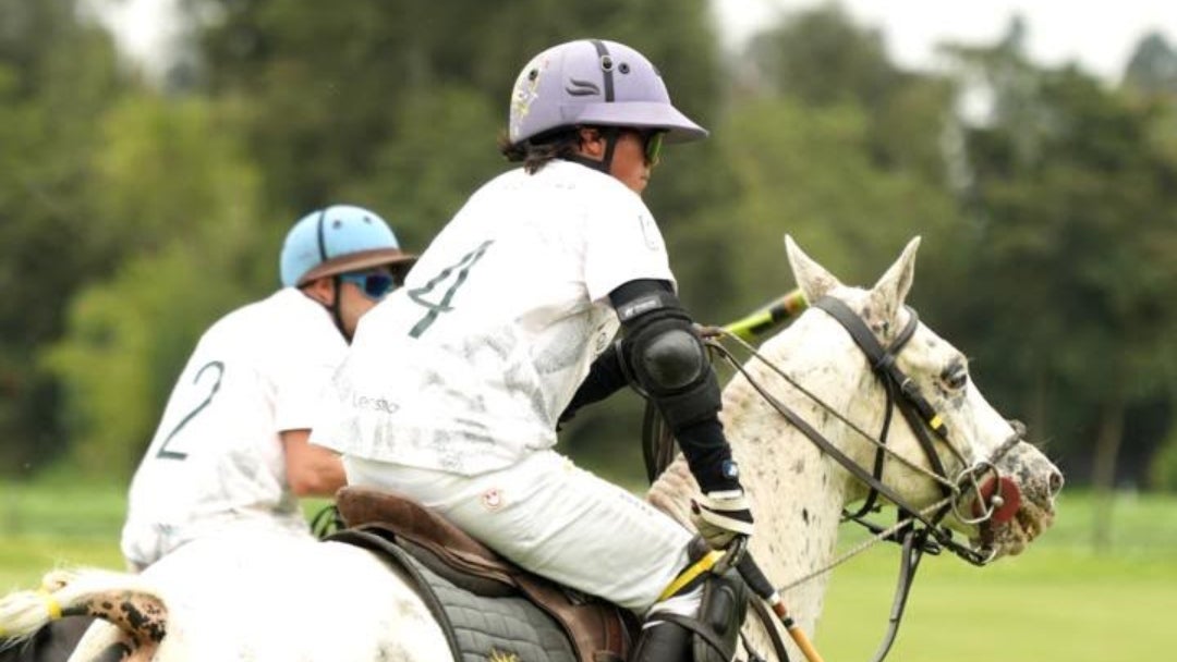 Festival Polo & Classics