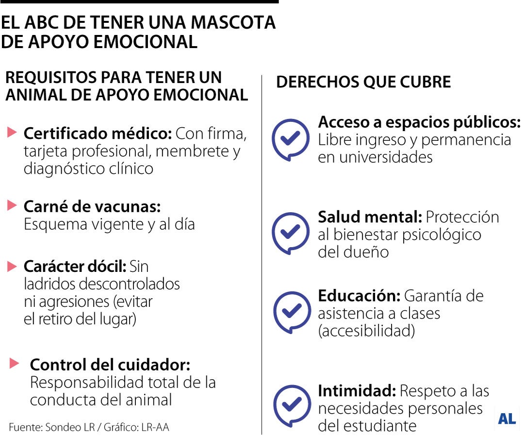 Gráfico LR