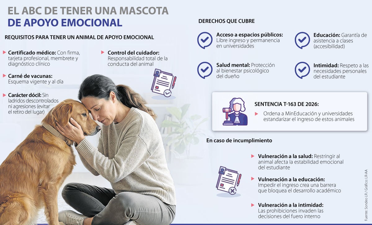 Gráfico LR