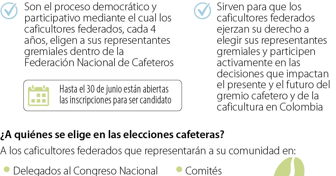 Elecciones cafeteras en Colombia: 4.848 representantes en juego