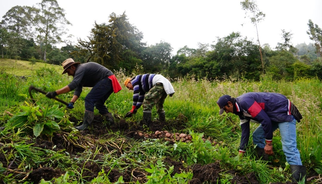 Gobierno Petro adopta metodología para determinar las actividades agropecuarias de bajo impacto en páramos