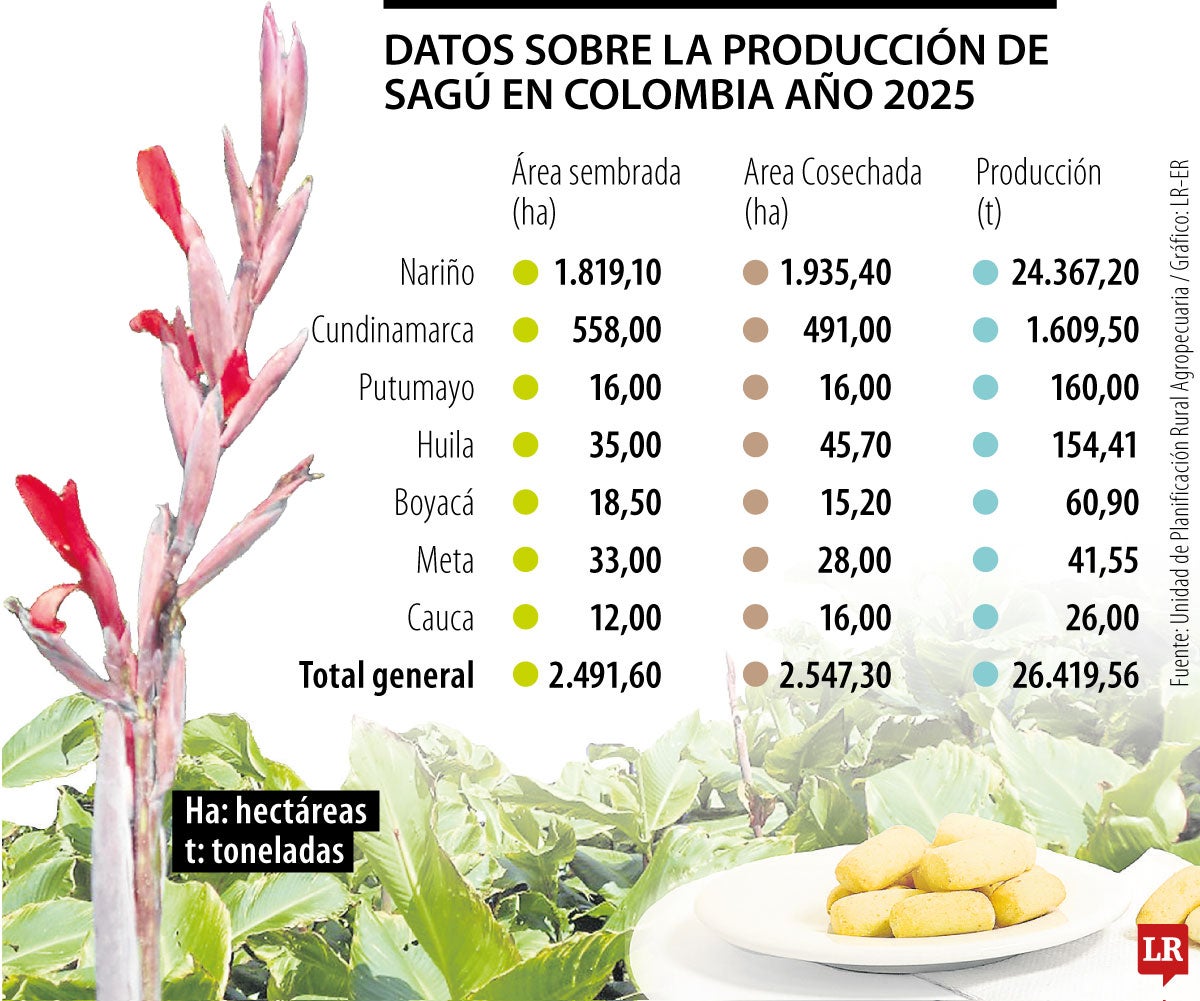 Producción de sagú en Colombia al cierre de 2025