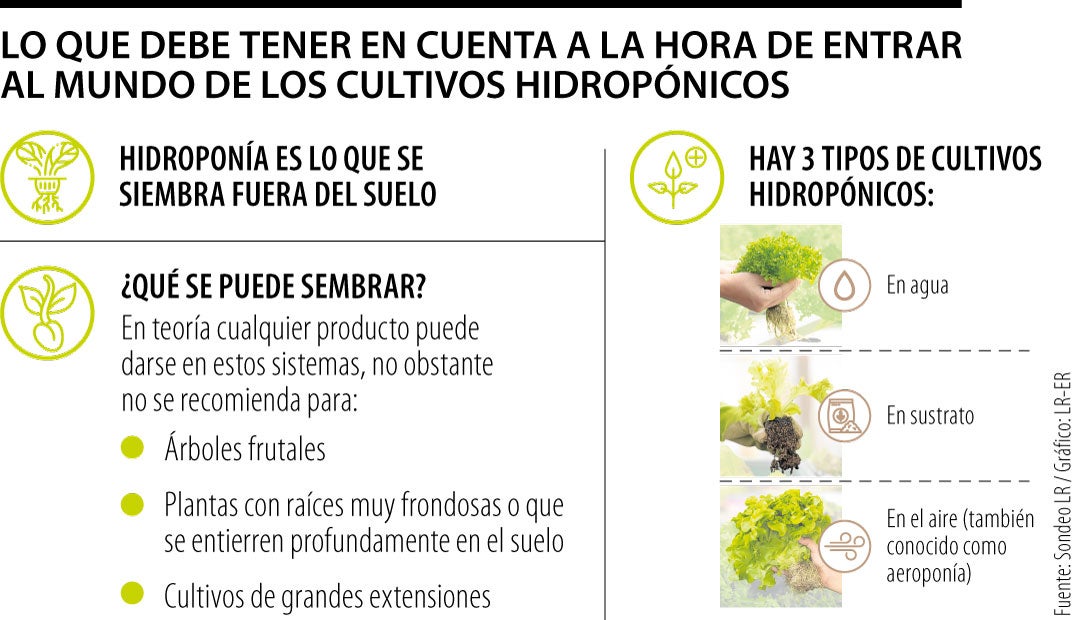 Qué son los cultivos hidropónicos-Agro Qué son los cultivos hidropónicos