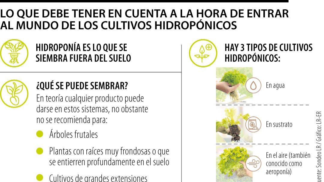 Qué son los cultivos hidropónicos