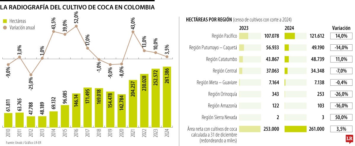 La radiografía de la coca en Colombia, datos con corte a 2024