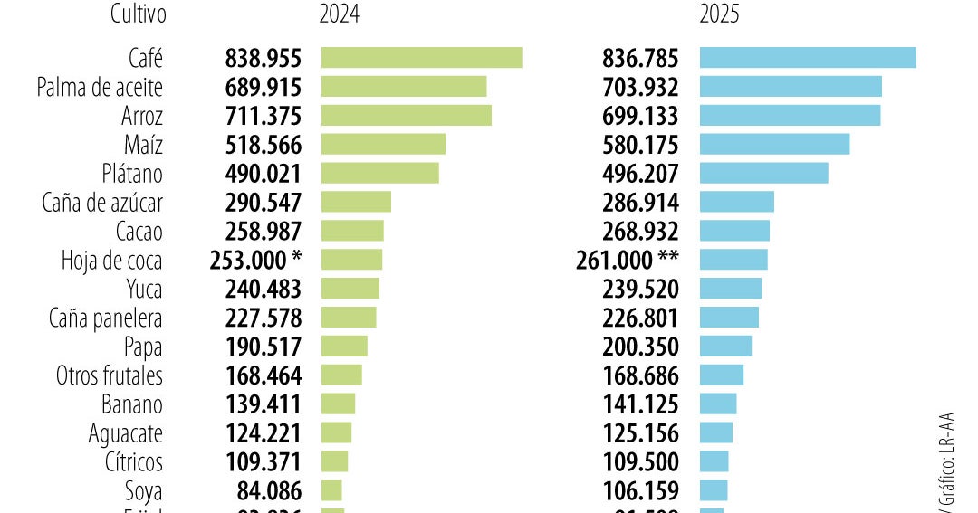 Coca leaf crops reached 261,000 hectares and are the eighth largest