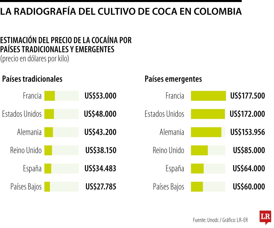 Radiografía nacional de los cultivos de coca