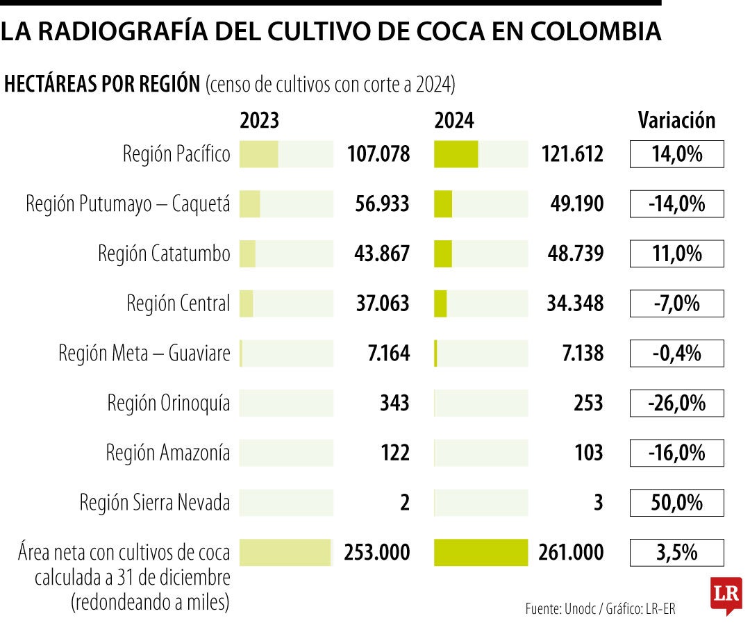 Radiografía nacional de los cultivos de coca