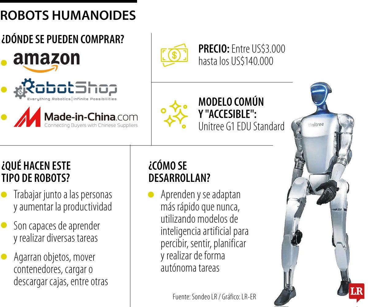 Robots humanoides