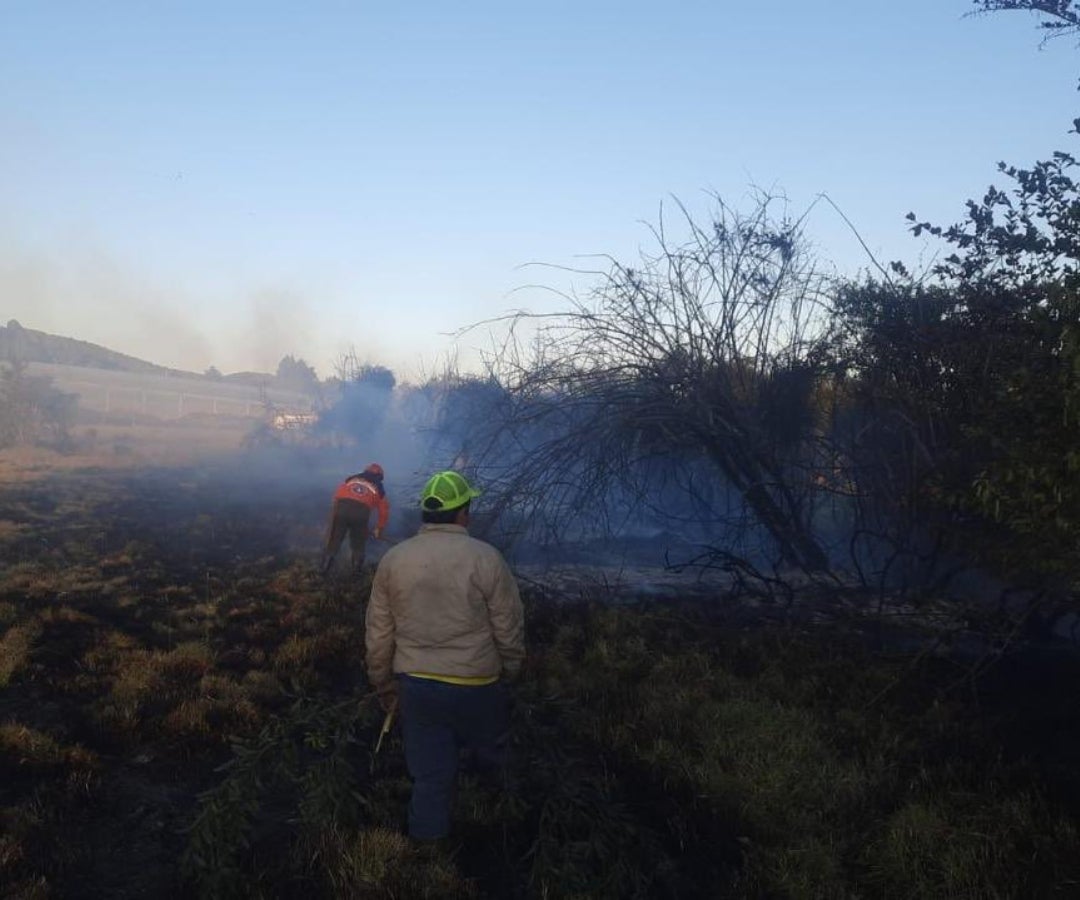 Incendios forestales