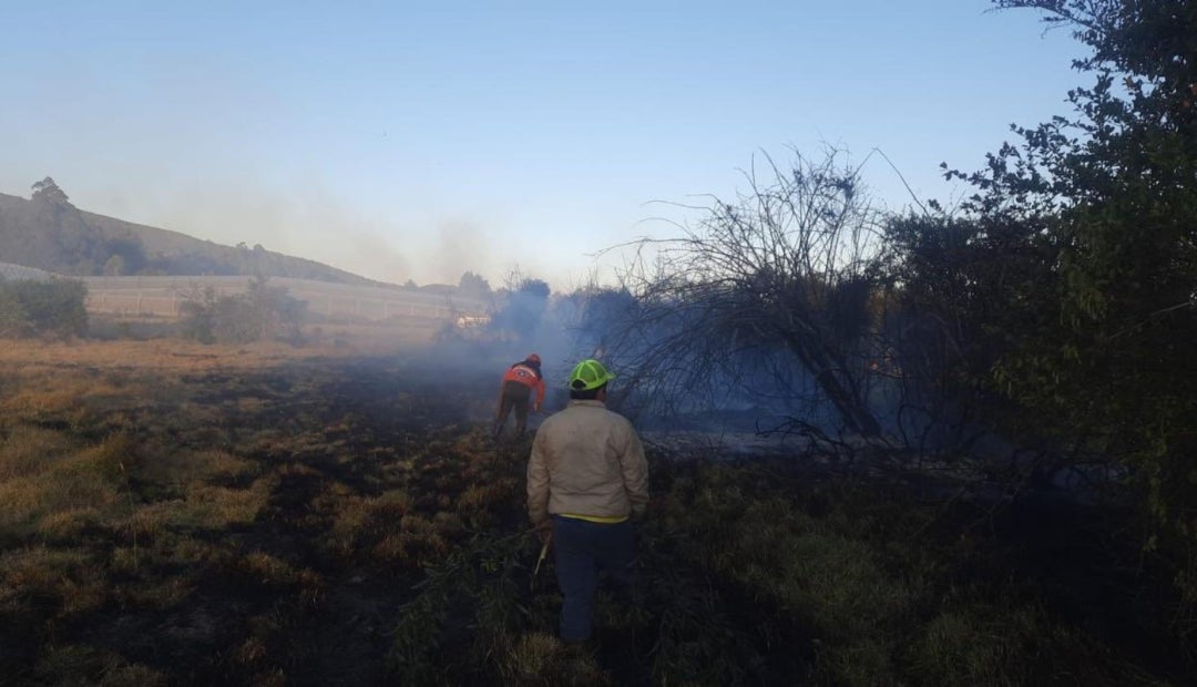 Incendios forestales