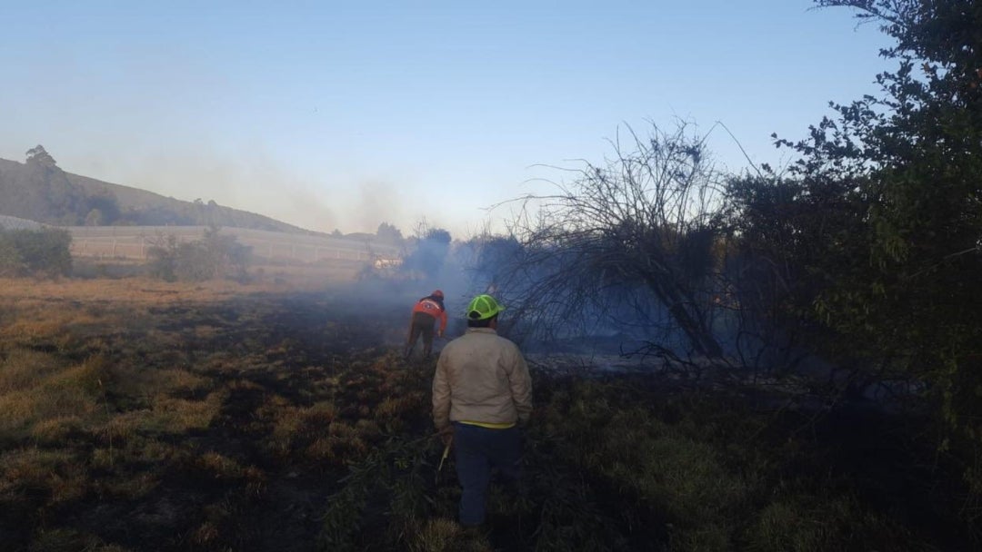 Incendios forestales