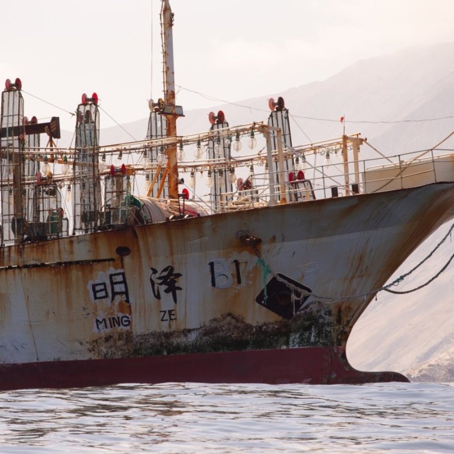 La recalada de barcos pesqueros chinos en Chile aumentó 2,7% y Oceana proyecta nuevas alzas