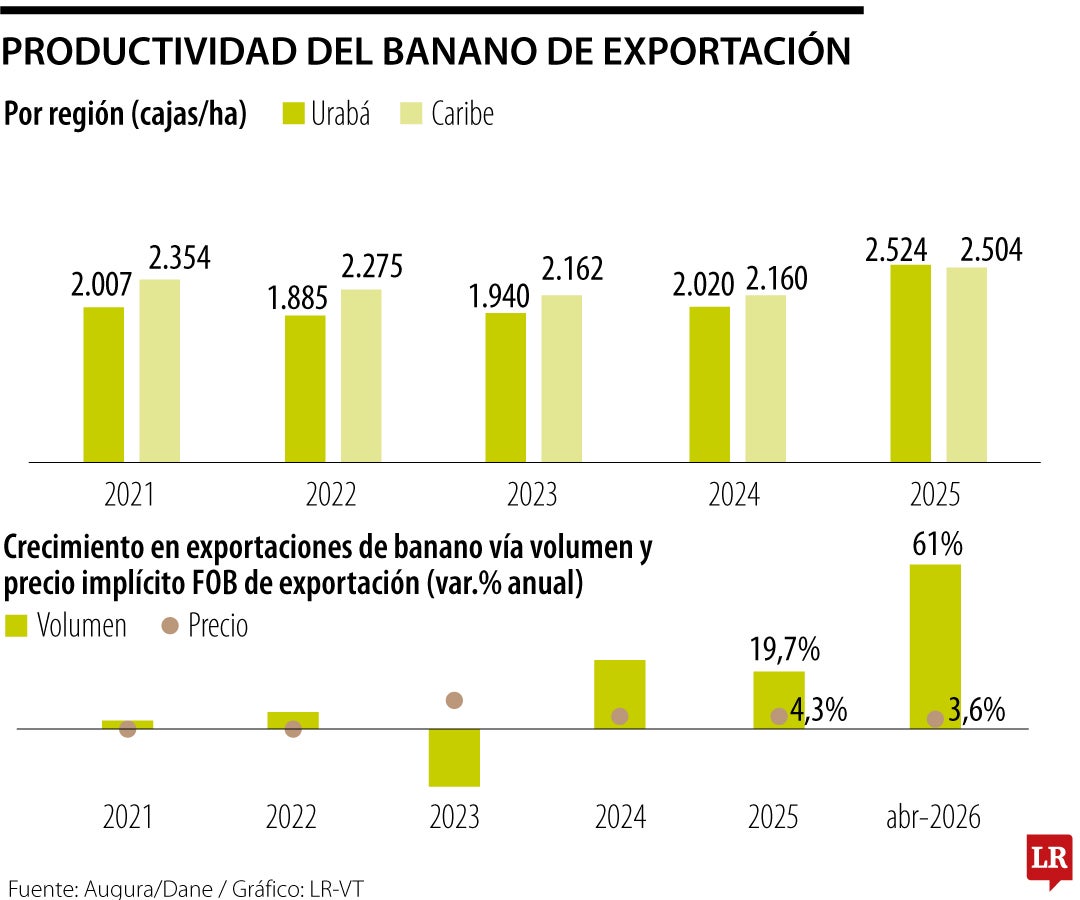 Panorama del banano colombiano