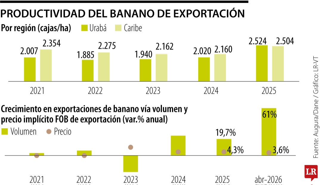 Panorama del banano colombiano