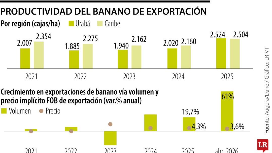 Panorama del banano colombiano