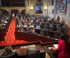 Senado, Congreso de la República Senado, Congreso de la República
