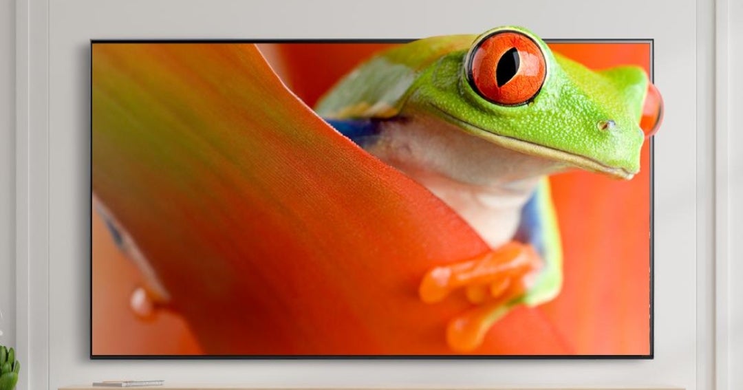 LG lanza el OLED C5: Nueva televisión premium impulsada por inteligencia artificial y optimizada para gaming