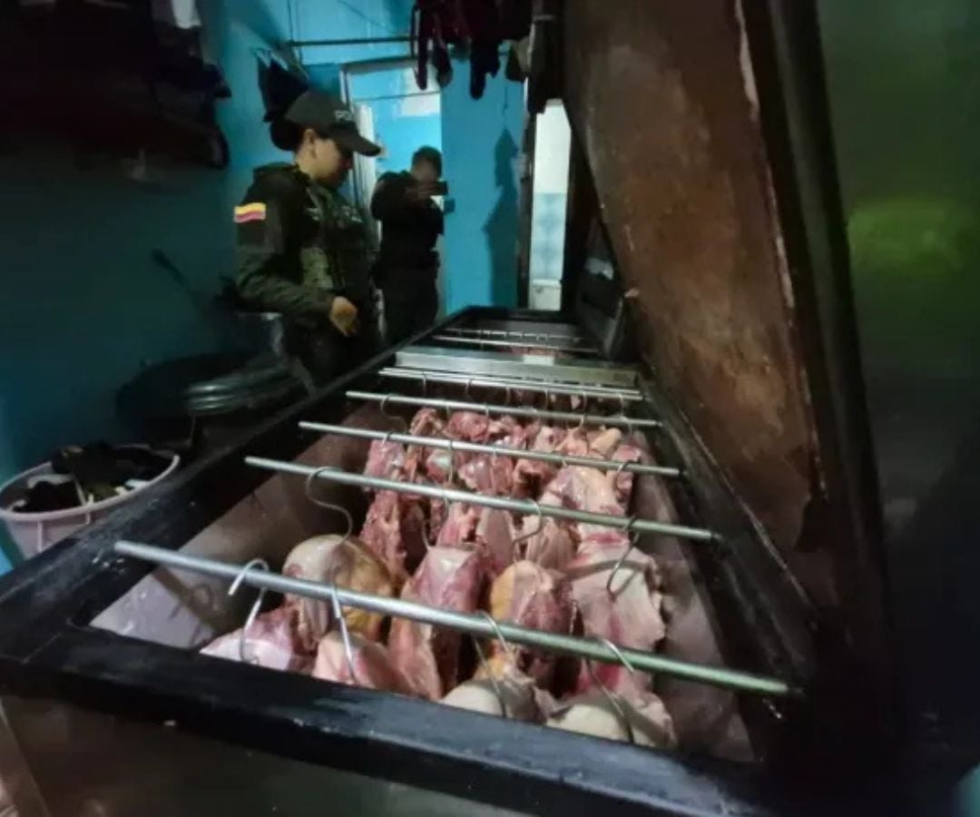 Cae banda que comercializaba carne de caballo