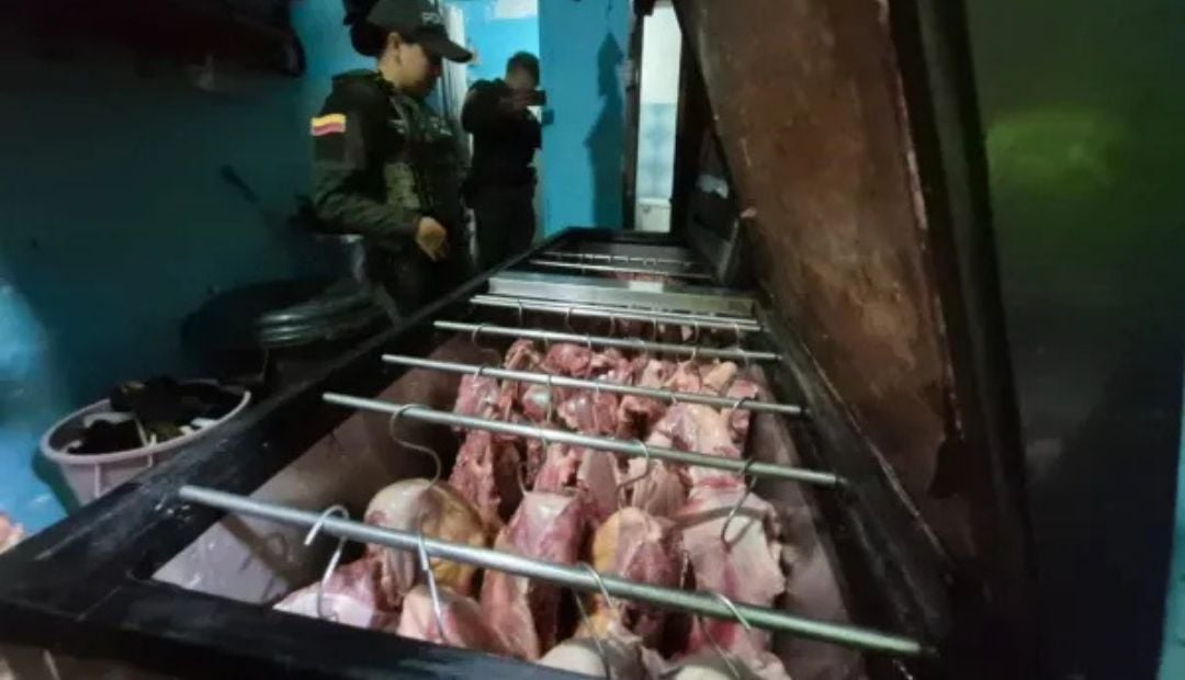 Cae banda que comercializaba carne de caballo