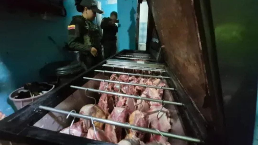 Cae banda que comercializaba carne de caballo