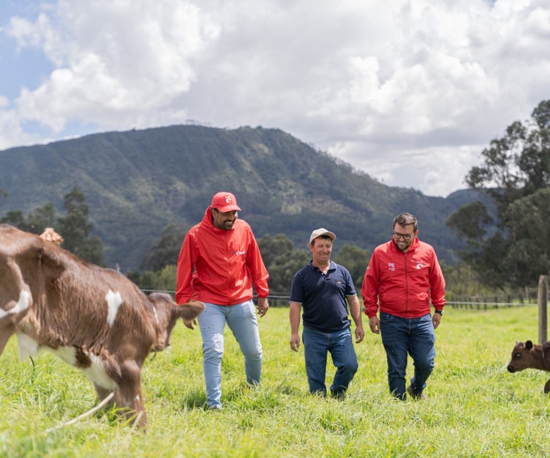Colombia es el primer país de América Latina donde esta innovación será evaluada en la producción