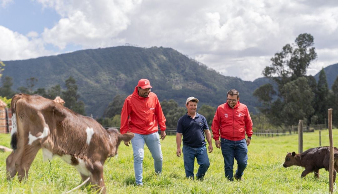 Colombia es el primer país de América Latina donde esta innovación será evaluada en la producción
