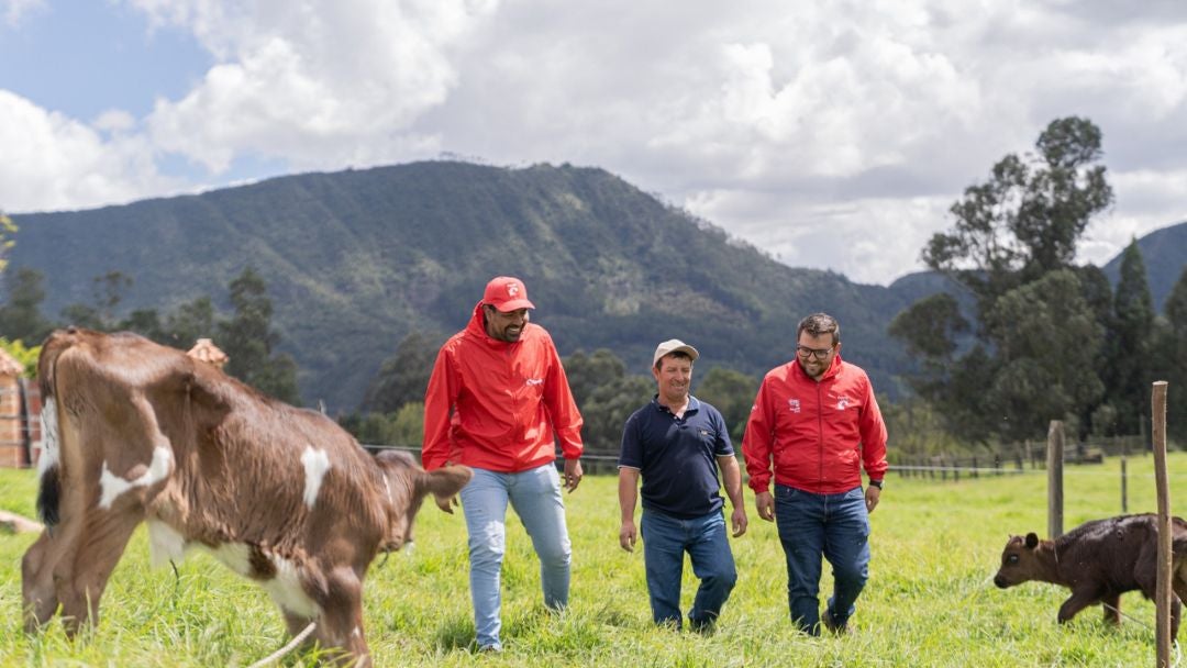 Colombia es el primer país de América Latina donde esta innovación será evaluada en la producción
