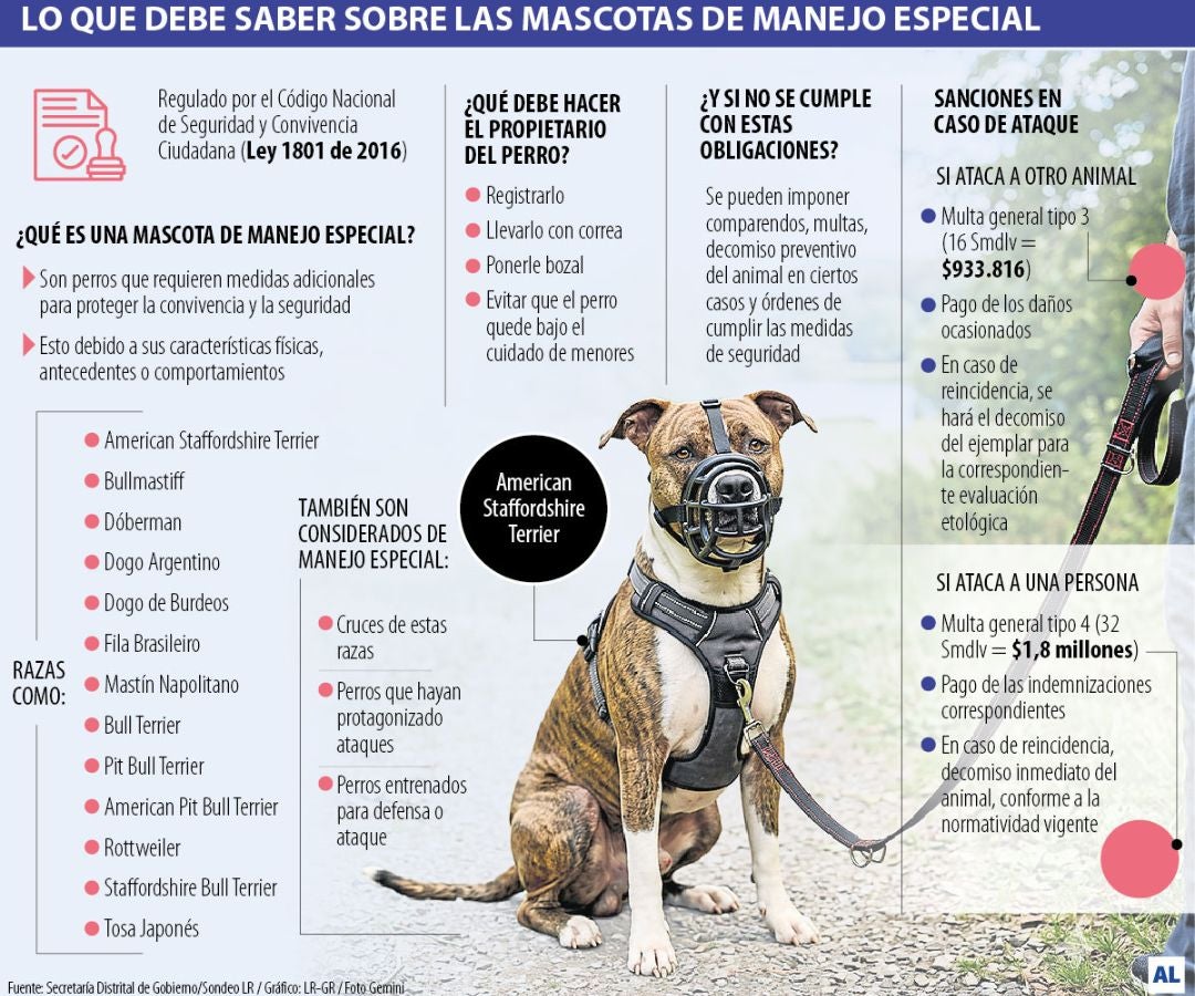 Gráfico LR