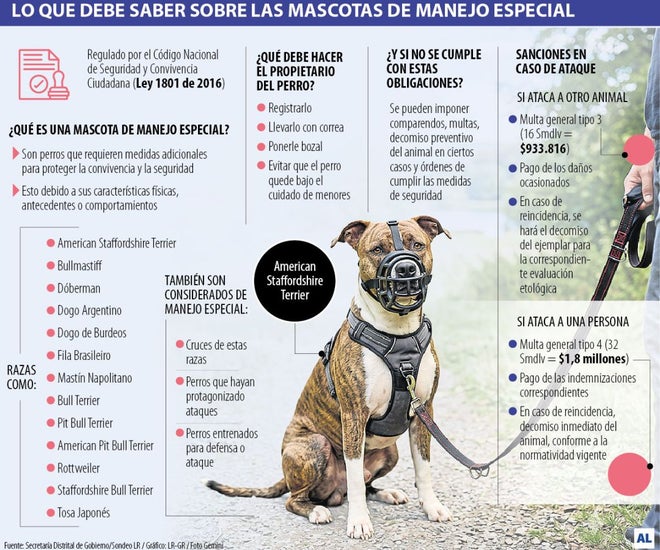Gráfico LR