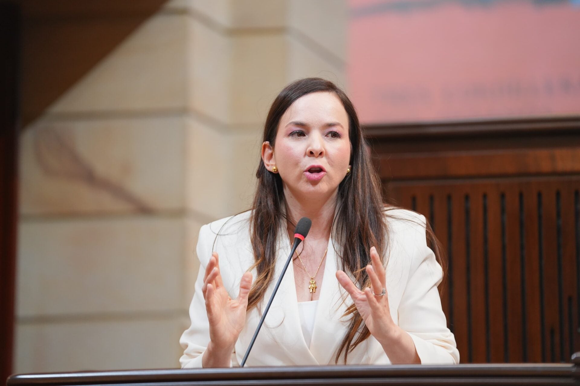 Diana Carolina Torres García, aspirante a contralor