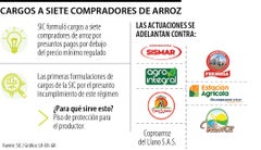 Formulan cargos a siete arroceras.