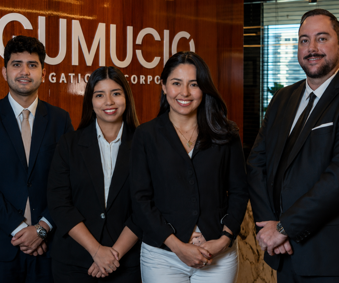 Gumucio Litigation Corporate