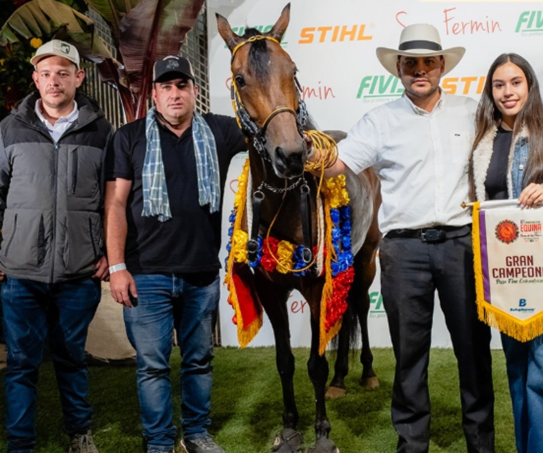 Campeonato de yeguas en paso fino