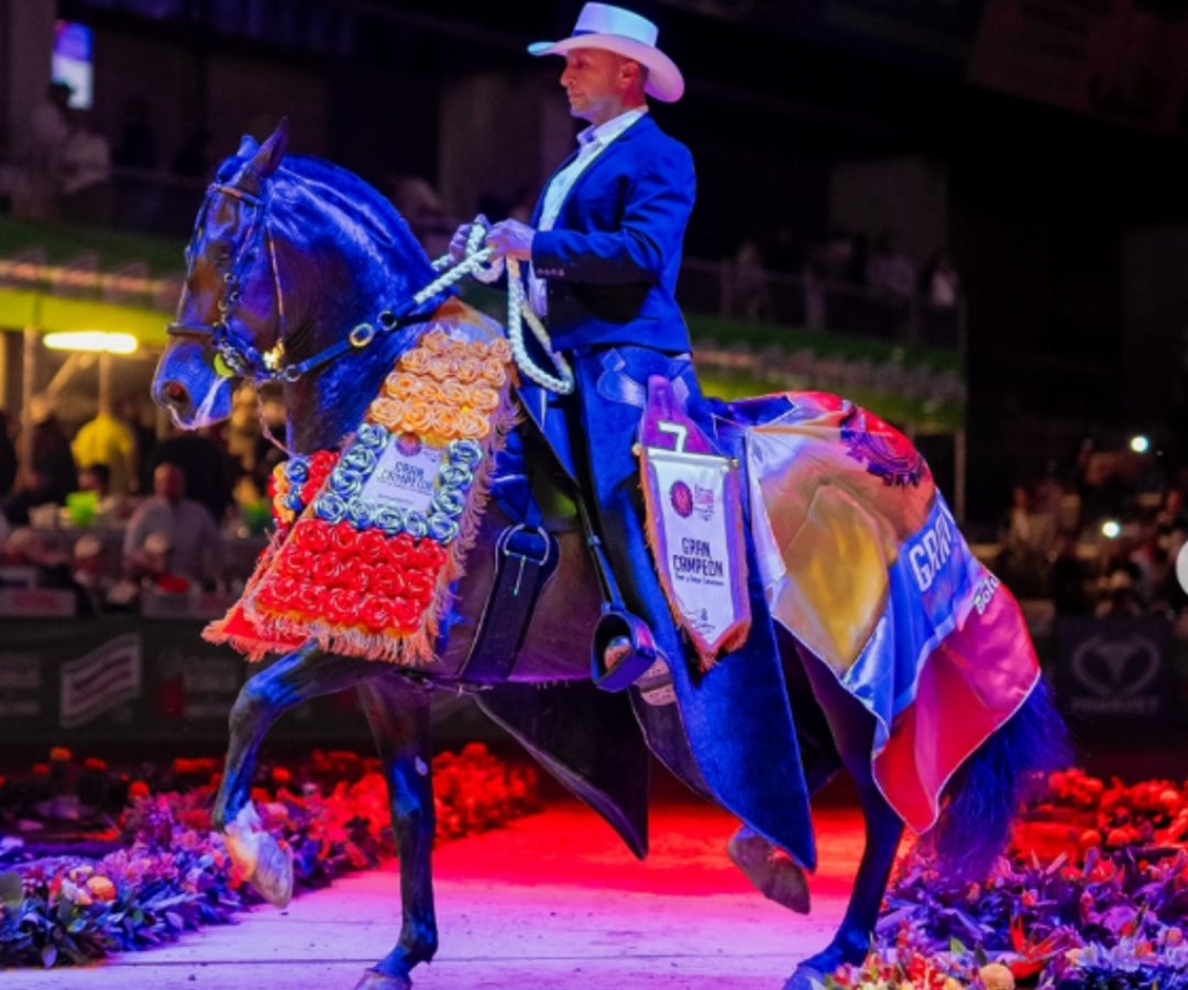 Competencia de trote y galope de Asdesilla