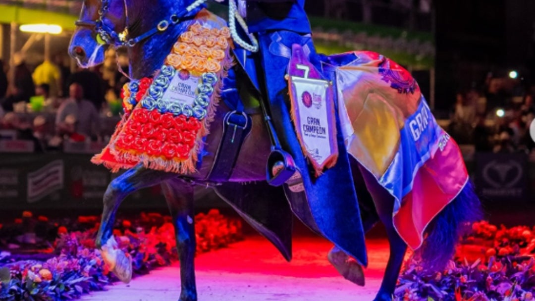 Competencia de trote y galope de Asdesilla
