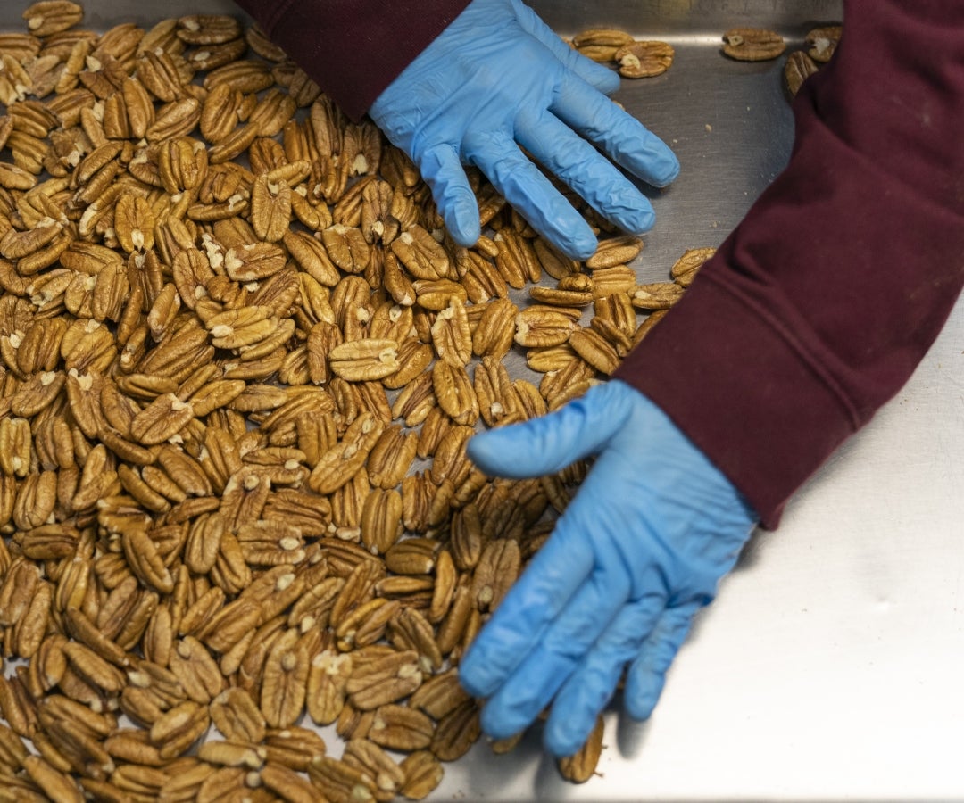 China impone aranceles de 54% a nueces pecanas estadounidenses antes de cumbre Xi-Trump