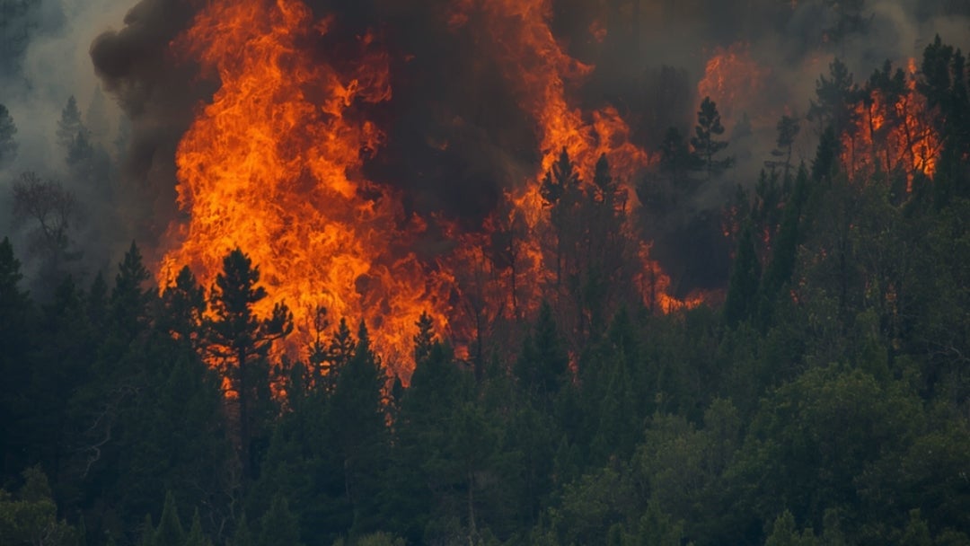 Incendio forestal