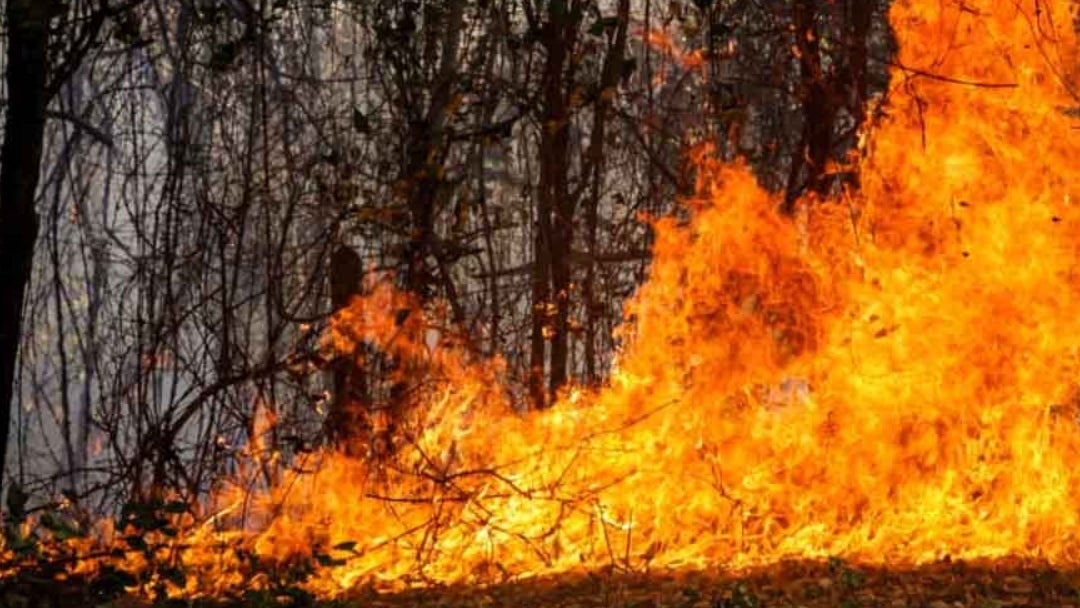 Tolima mantiene 17 incendios forestales