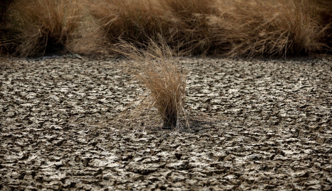 Fenómeno de El Niño en Asia